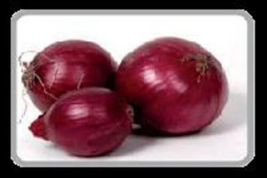Fresh Red Onion For Cooking Preserving Compound: Cool And Dry Place