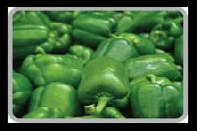 Fresh Green Capsicum For Cooking Preserving Compound: Cool And Dry Place