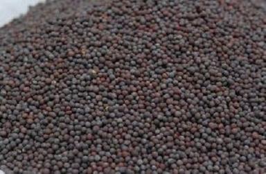 Organic Black Mustard Seeds For Food