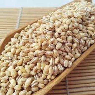 Organic Brown Barley Seeds For Food