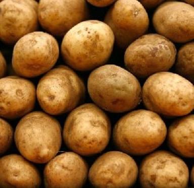 Fresh Natural Potato For Cooking Preserving Compound: Cool And Dry Place
