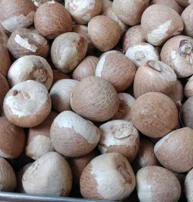 Dried Whole Areca Nuts