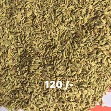 Green Non Harmful Fennel Seeds