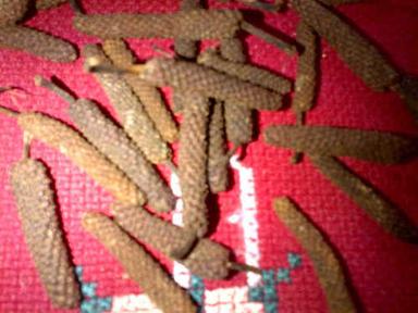 Black Javanese Long Pepper Grade: A