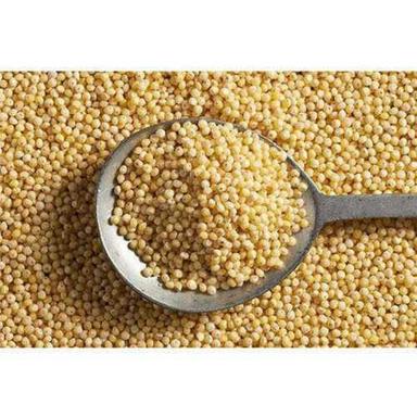 Natural Dried Foxtail Millet Rice Broken Ratio (%): 1%