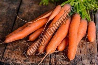 Fresh Orange Carrot For Food Preserving Compound: Cool And Dry Place