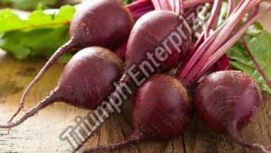 Fresh Red Beetroot For Cooking Preserving Compound: Cool And Dry Place