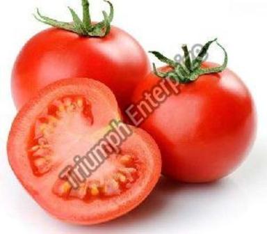 Fresh Organic Tomato For Cooking Preserving Compound: Cool And Dry Place