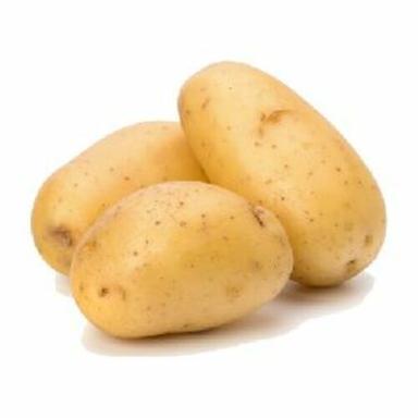 A Grade Fresh Potato For Cooking Preserving Compound: Cool And Dry Place