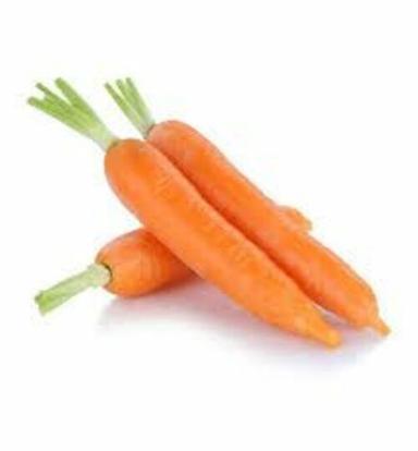 Fresh Orange Carrot For Food Preserving Compound: Cool And Dry Place