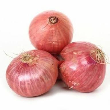 Fresh Red Onion For Cooking Preserving Compound: Cool And Dry Place