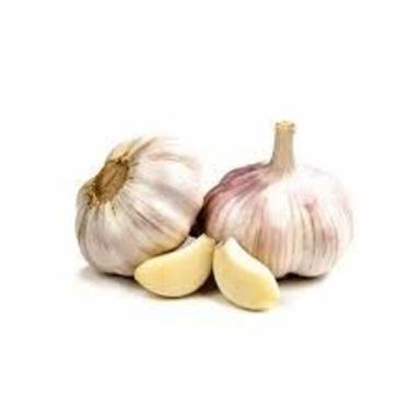 Fresh White Natural Garlic Preserving Compound: Cool And Dry Place