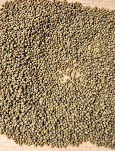 Indian Origin Dried Green Pepper Grade: A