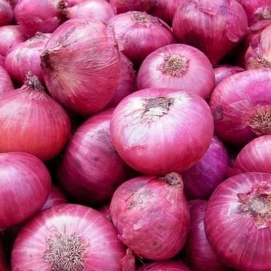 Farm Fresh Red Onion Preserving Compound: Dried