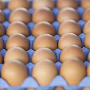 Brown Color Fresh Hen Egg Egg Origin: Chicken