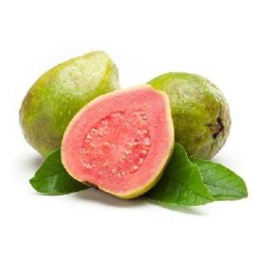 Organic Fresh Red Guava Fruits