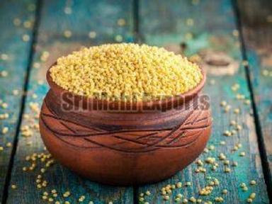 Yellow Natural Millet Seeds For Cooking