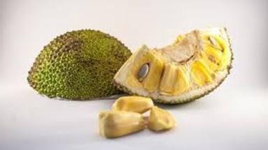 Fresh Green Jackfruit For Cooking Preserving Compound: Cool And Dry Place