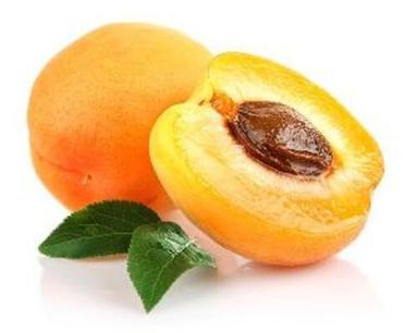 Orange A Grade Fresh Apricots Fruits