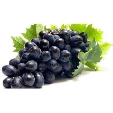 Common Fresh Black Grapes Fruits