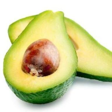 Common Fresh Green Avocado Fruits