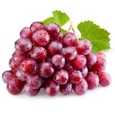 Common Fresh Red Grapes Fruits