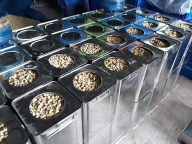 Top Quality Cashew Nut Kernels Broken (%): 4