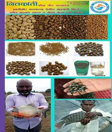 Aquariums Highly Nutritious Fish Seed
