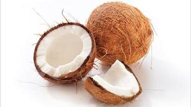 Common Export Quality Semi Husked Coconuts