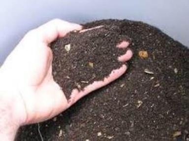 Black Organic Vermicompost Fertilizers