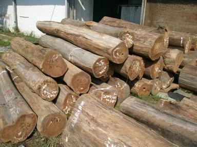 Teak Timber Wood Logs For Furniture Grade: A-Grade