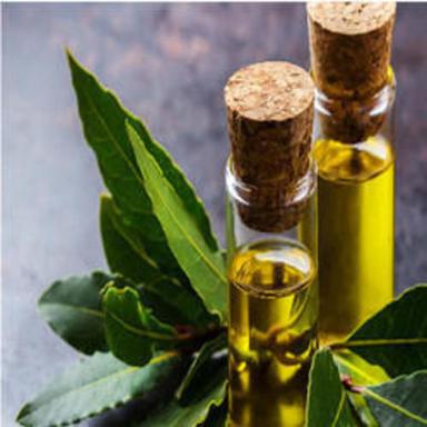 100% Pure and Natural Bay Leaf Oil