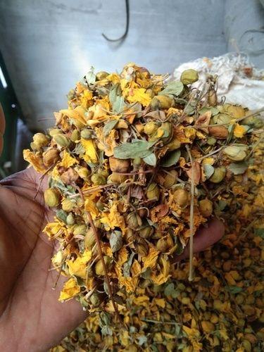 Natural Aavaram Poo Herbs