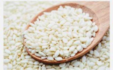 White Dried And Cleaned Hulled Sesame Seeds