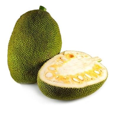 Round Organic And Healthy Fresh Jackfruit