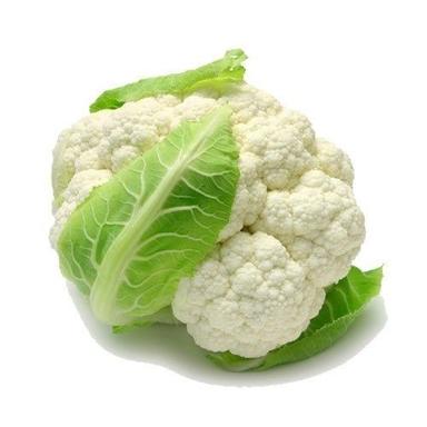 Cooked Organic And Natural Fresh Cauliflower