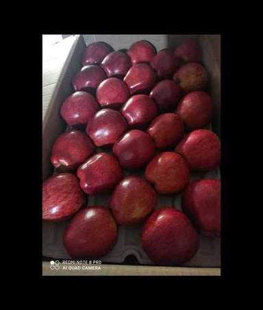 Common Fresh Shimla Red Apple