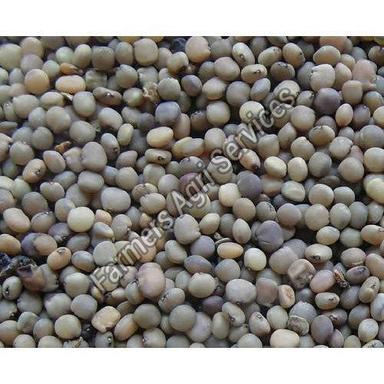 Brown Healthy And Natural Cluster Beans Seeds