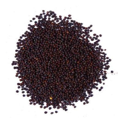 No Artificial Color Black Mustard Seeds Grade: Premium