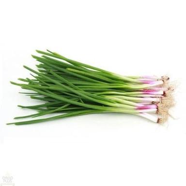Organic And Natural Fresh Spring Onion Shelf Life: 5+7 Days