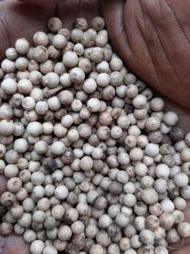 Solid Export Quality White Pepper
