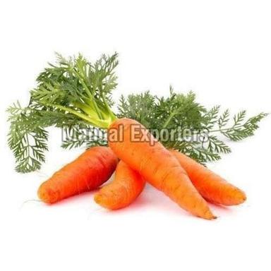 Seasoned Farm Fresh Orange Carrot