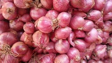 Round Wholesale Price Small Onion For Kerala