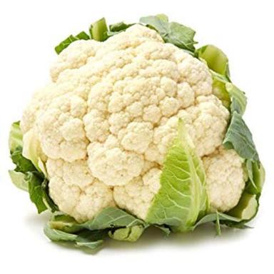 Organic And Natural Fresh Cauliflower Shelf Life: 1 Week