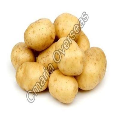 Round Organic And Natural Fresh Potato