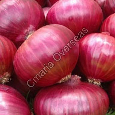 Organic And Natural Fresh Red Onion Shelf Life: 1 Months