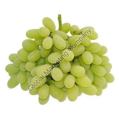 Common Healthy And Natural Fresh Grapes