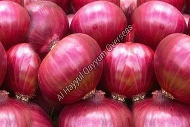 Organic And Natural Fresh Red Onion Shelf Life: 1 Months