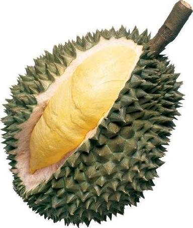 Common Healthy And Natural Fresh Durian Fruit