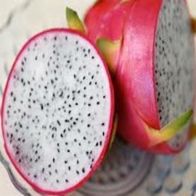 Pink Healthy And Natural Fresh Dragon Fruit